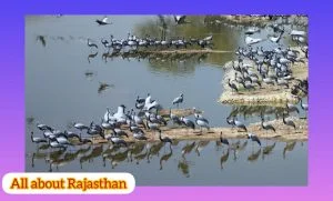 INDIA FIRST TRAIN TRIAL TRACK IN SAMBHAR LAKE 1 INDIA FIRST TRAIN TRIAL TRACK IN SAMBHAR LAKE
