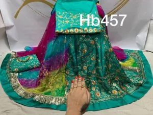 Zari Work Rajputi Poshak