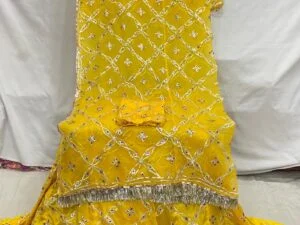 Latest Rajputi Poshak New Design 2020